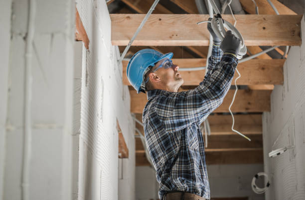 Professional Electrician in LA